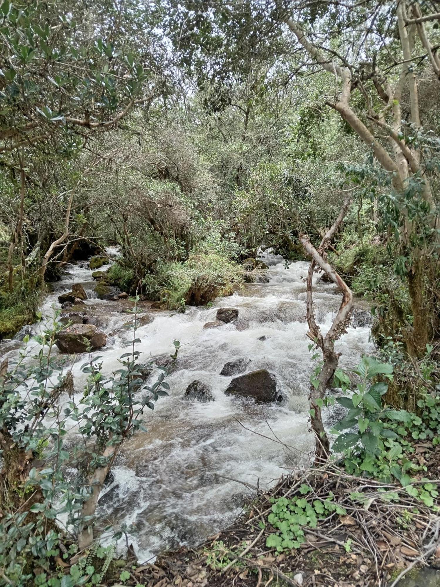 Ecolodge Ccatan Урубамба Экстерьер фото